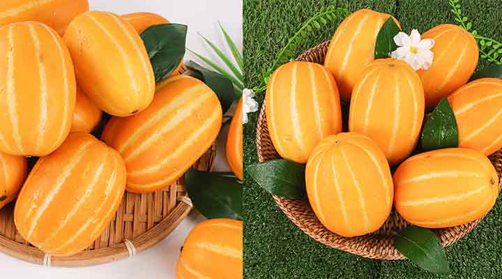 [Sale09] [할인중독] 성주 옥황 벌꿀참외 2.5kg (13,500원/무료)